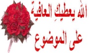 تحميل قاموس الوافي الذهبي 2013 للترجمة - برنامج Alwafi مجانا للتنزيل  625512572